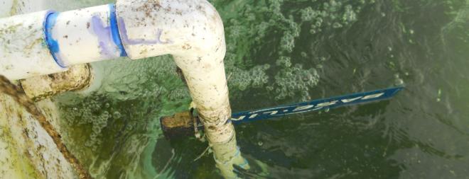 Water storage tank sensor