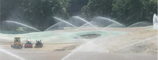 Turf establishment by seed